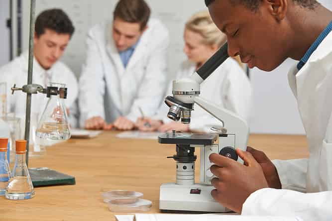 Dr. Kat’s List: Five Colleges for Biology