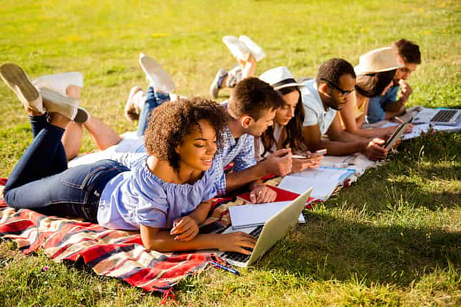 College students studying together outside during summer programs