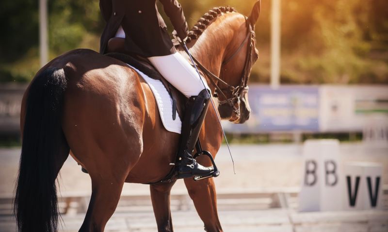 The rider in a black and white suit performs the task in equestrian competitions in dressage riding a beautiful Bay horse, dressed in ammunition for equestrian sports.