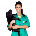 Brunette vet with a pug dog isolated on white background