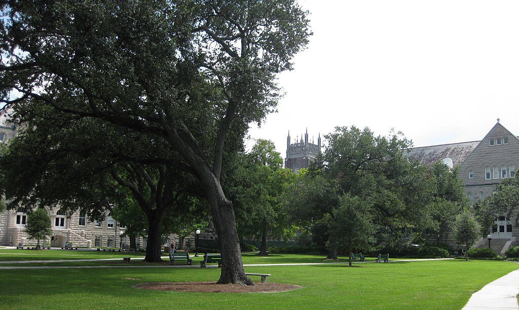 The quad at Tulane