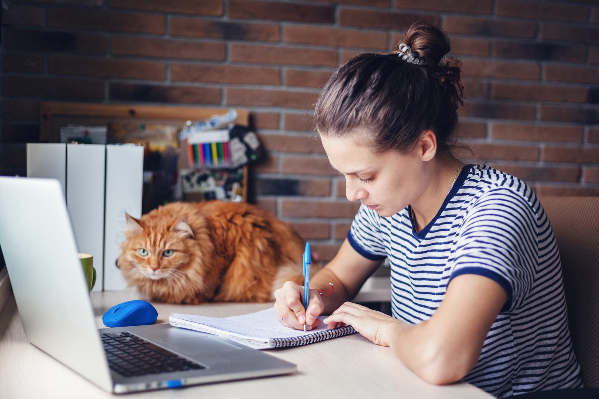 Girl student working with laptop on college essay